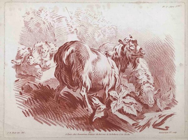 Gilles Demarteau (1722-1776) Due caprette  - Asta Oltre 300 lotti ad offerta libera - Associazione Nazionale - Case d'Asta italiane