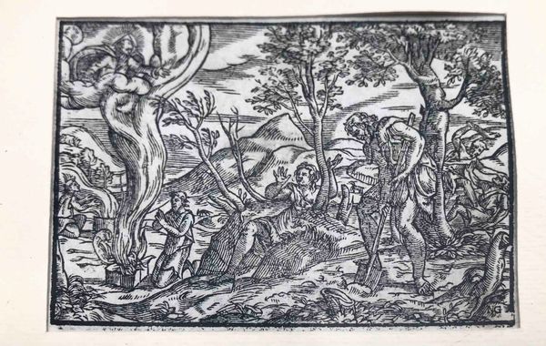 Autore del 600, 4 xilografie in cornice  - Asta Oltre 300 lotti ad offerta libera - Associazione Nazionale - Case d'Asta italiane