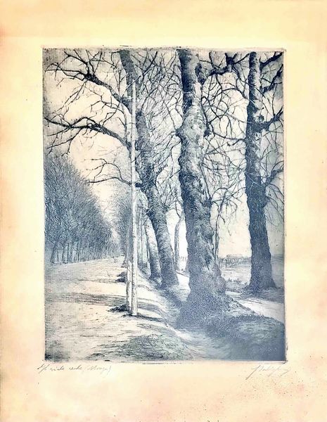 Guglielmo Baldassini (1885-1952) Il viale Reale (Monza)  - Asta Oltre 300 lotti ad offerta libera - Associazione Nazionale - Case d'Asta italiane