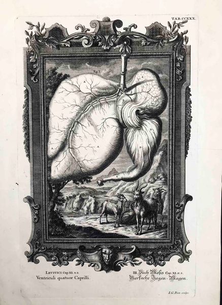 Jacob Andreas Friederich (1683 -1751) e Johann Georg Pintz (1683-1751) 2 incisioni  - Asta Oltre 300 lotti ad offerta libera - Associazione Nazionale - Case d'Asta italiane