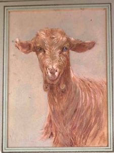 VINCENZO CAPRILE - Studio di capretta