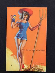 U.S.A. anni�40, 20 cartoline  - Asta Oltre 300 lotti ad offerta libera - Associazione Nazionale - Case d'Asta italiane