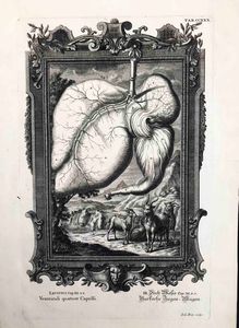 Jacob Andreas Friederich (1683 -1751) e Johann Georg Pintz (1683-1751) 2 incisioni  - Asta Oltre 300 lotti ad offerta libera - Associazione Nazionale - Case d'Asta italiane