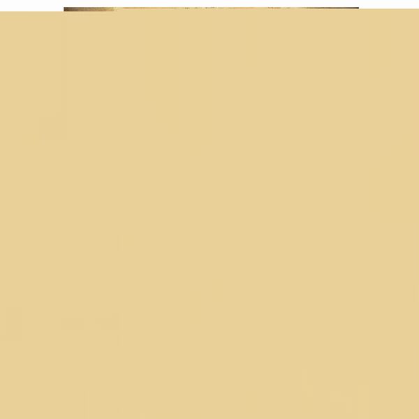 Scuola emiliana  - Asta Da Importanti Collezioni Romane - Associazione Nazionale - Case d'Asta italiane