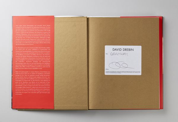 DREBIN DAVID (n. 1970) : Dream scapes.  - Asta Asta 380 | ARTE MODERNA E CONTEMPORANEA Virtuale - Associazione Nazionale - Case d'Asta italiane