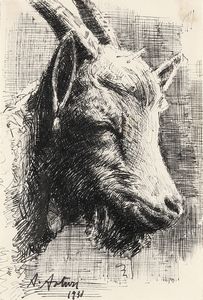 ASTURI ANTONIO (1904 - 1986) - Capretta.