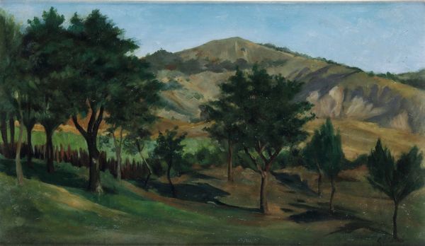 Pittore del XIX-XX secolo Paesaggio alberato  - Asta Antiquariato Ottobre  - Associazione Nazionale - Case d'Asta italiane