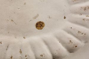 MANIFATTURA CENTROITALIANA DEL XVII SECOLO : Piatto ovale in maiolica compendiaria con putto al centro e ghirlanda lungo il bordo  - Asta Asta 379 | ARTE ANTICA E DEL XIX SECOLO - Dipinti antichi e antiquariato  Online - Associazione Nazionale - Case d'Asta italiane