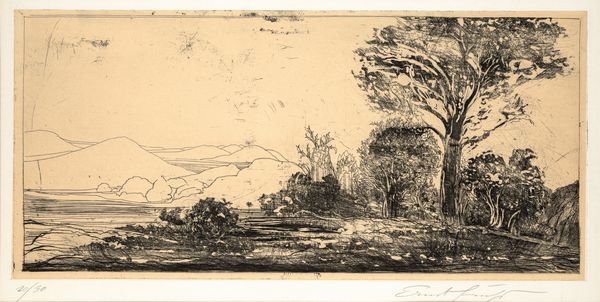 ERNST FUCHS : Senza titolo  - Asta Arte moderna e contemporanea - Associazione Nazionale - Case d'Asta italiane