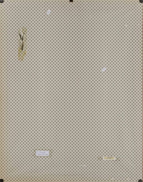 Josef Brandl : Senza titolo  - Asta Arte moderna e contemporanea - Associazione Nazionale - Case d'Asta italiane