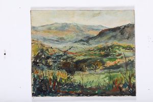 Artista non identificato - La valle