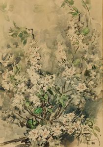 Aldo Raimondi - Fiori di Mandorlo