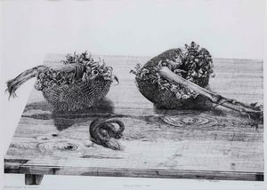 Roberto Stelluti - Girasoli