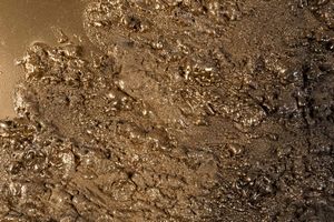 PAOLA ROMANO : Luna Dorata  - Asta Arte moderna e contemporanea - Associazione Nazionale - Case d'Asta italiane