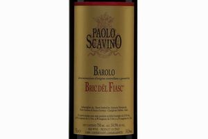 Piemonte - Paolo Scavino Barolo Bric Del Fiasc (12 BT) OWC