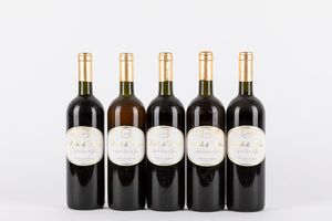 Friuli-Venezia Giulia - Girolamo Dorigo Vigneto Ronc di Juri Pignolo di Buttrio (5 BT)