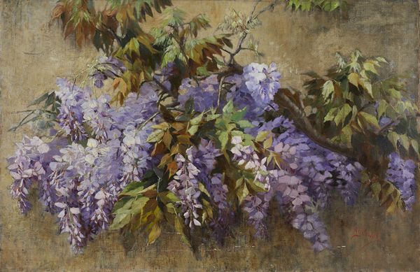 GILARDELLI AURORA (1865 - 1906) : Glicine in fiore  - Asta Asta 381 | ARTE ANTICA E DEL XIX SECOLO - Dipinti del XIX secolo  Online - Associazione Nazionale - Case d'Asta italiane
