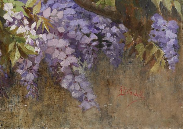 GILARDELLI AURORA (1865 - 1906) : Glicine in fiore  - Asta Asta 381 | ARTE ANTICA E DEL XIX SECOLO - Dipinti del XIX secolo  Online - Associazione Nazionale - Case d'Asta italiane