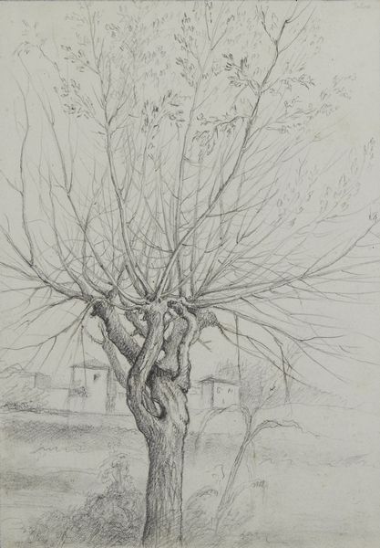 Scuola italiana del XIX secolo : Gruppo di quattro disegni raffiguranti paesaggi  - Asta Asta 381 | ARTE ANTICA E DEL XIX SECOLO - Dipinti del XIX secolo  Online - Associazione Nazionale - Case d'Asta italiane