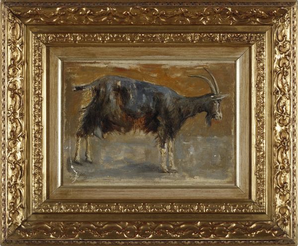 PALIZZI FILIPPO (1818 - 1899) : Attribuito a. Capretta  - Asta Asta 381 | ARTE ANTICA E DEL XIX SECOLO - Dipinti del XIX secolo  Online - Associazione Nazionale - Case d'Asta italiane