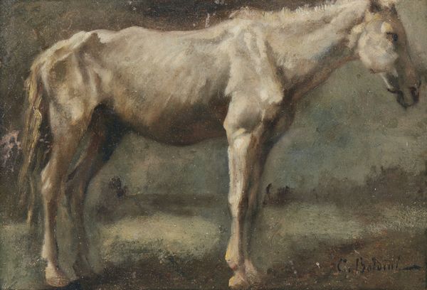 ARTISTA DEL XIX SECOLO : Cavallo  - Asta Asta 381 | ARTE ANTICA E DEL XIX SECOLO - Dipinti del XIX secolo  Online - Associazione Nazionale - Case d'Asta italiane