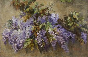 GILARDELLI AURORA (1865 - 1906) - Glicine in fiore