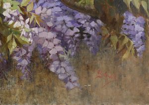 GILARDELLI AURORA (1865 - 1906) : Glicine in fiore  - Asta Asta 381 | ARTE ANTICA E DEL XIX SECOLO - Dipinti del XIX secolo  Online - Associazione Nazionale - Case d'Asta italiane