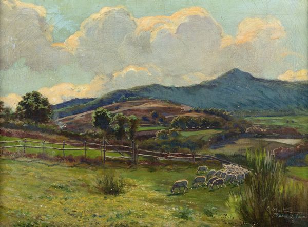 Carlo Montani : Rocca di Papa, gregge al pascolo  - Asta Arte figurativa tra XIX e XX Secolo - Associazione Nazionale - Case d'Asta italiane
