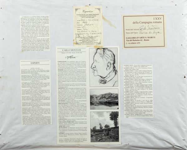 Carlo Montani : Rocca di Papa, gregge al pascolo  - Asta Arte figurativa tra XIX e XX Secolo - Associazione Nazionale - Case d'Asta italiane