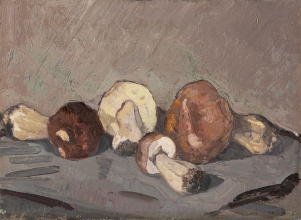 Attribuito a Marco Novati : Funghi  - Asta Arte figurativa tra XIX e XX Secolo - Associazione Nazionale - Case d'Asta italiane