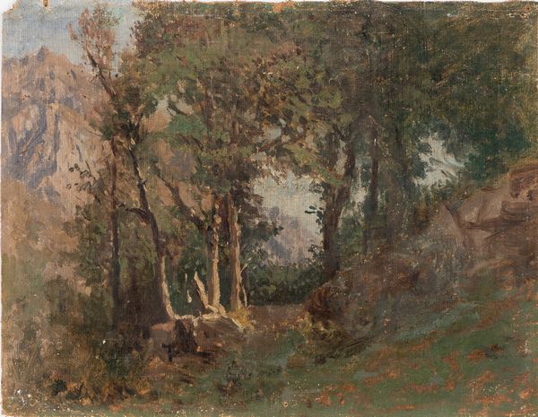 Silvio Allason : Paesaggio alpestre  - Asta Arte figurativa tra XIX e XX Secolo - Associazione Nazionale - Case d'Asta italiane