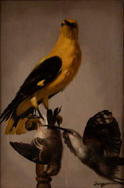 Amanzia Guerillot Inganni : Il rigogolo  - Asta Arte figurativa tra XIX e XX Secolo - Associazione Nazionale - Case d'Asta italiane