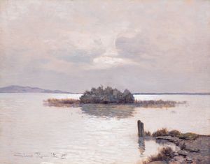 Gino Romiti - Riflessi sul lago di Massaciuccoli
