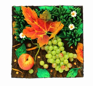 Piero Gilardi - Prato con uva