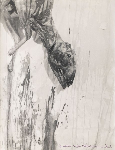Hermann Nitsch : Aktion 9  - Asta Arte moderna e contemporanea - Associazione Nazionale - Case d'Asta italiane