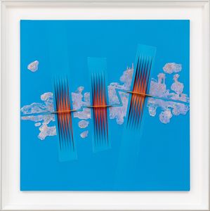 ALBERTO  BIASI : Mar rosso, riflessi del reef  - Asta Arte moderna e contemporanea - Associazione Nazionale - Case d'Asta italiane