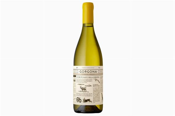Gorgona Bianco Marchesi Frescobaldi 2019  - Asta Pandolfini per Amici di URI - Asta Benefica per Sostenere la Ricerca Scientifica Urologica - Associazione Nazionale - Case d'Asta italiane