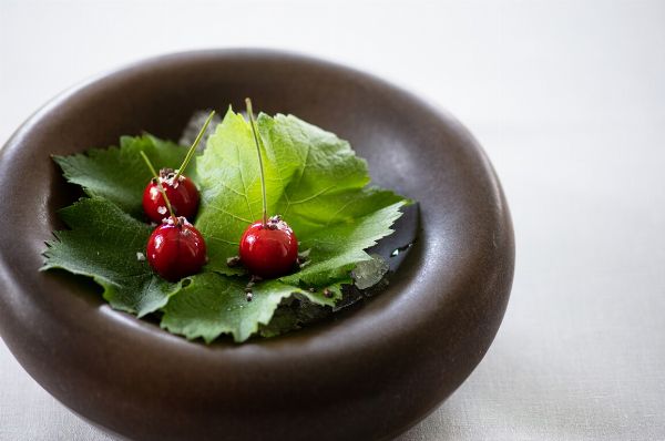 Relais & Ch�teau Da Vittorio - Brusaporto (Bergamo)  - Asta Pandolfini per Amici di URI - Asta Benefica per Sostenere la Ricerca Scientifica Urologica - Associazione Nazionale - Case d'Asta italiane