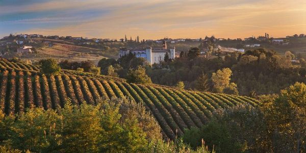 Relais Tenuta di Biserno - Bibbona (Livorno)  - Asta Pandolfini per Amici di URI - Asta Benefica per Sostenere la Ricerca Scientifica Urologica - Associazione Nazionale - Case d'Asta italiane