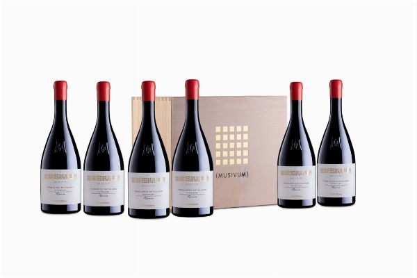 Selezione Gruppo Mezzacorona  - Asta Pandolfini per Amici di URI - Asta Benefica per Sostenere la Ricerca Scientifica Urologica - Associazione Nazionale - Case d'Asta italiane