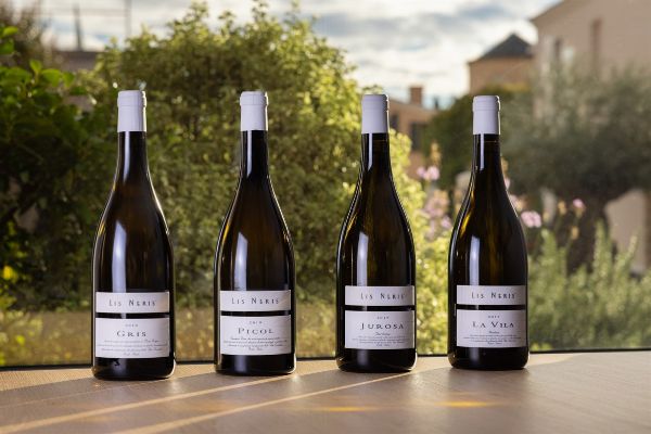 Selezione Lis Neris  - Asta Pandolfini per Amici di URI - Asta Benefica per Sostenere la Ricerca Scientifica Urologica - Associazione Nazionale - Case d'Asta italiane