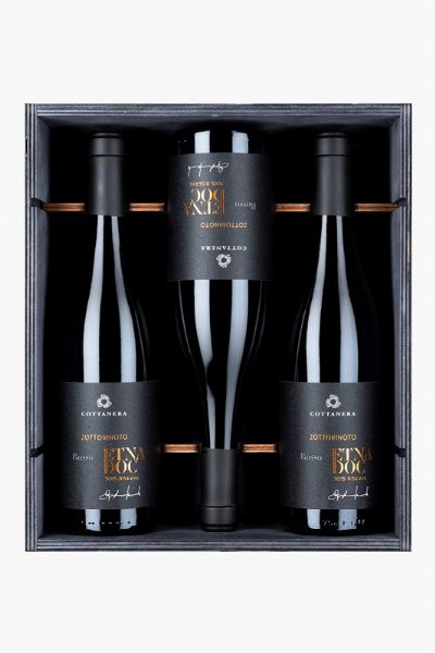 Selezione Cottanera  - Asta Pandolfini per Amici di URI - Asta Benefica per Sostenere la Ricerca Scientifica Urologica - Associazione Nazionale - Case d'Asta italiane