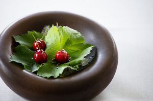 Relais & Ch�teau Da Vittorio - Brusaporto (Bergamo)  - Asta Pandolfini per Amici di URI - Asta Benefica per Sostenere la Ricerca Scientifica Urologica - Associazione Nazionale - Case d'Asta italiane