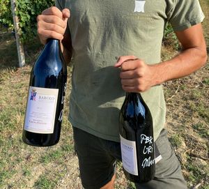 Barolo Cascina Fontana 2013  - Asta Pandolfini per Amici di URI - Asta Benefica per Sostenere la Ricerca Scientifica Urologica - Associazione Nazionale - Case d'Asta italiane