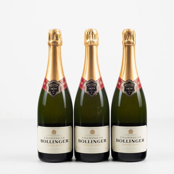 Bollinger, Champagne Special Cuvee  - Asta Winter Wine Auction - Associazione Nazionale - Case d'Asta italiane