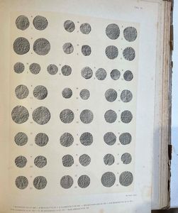 SERAFINI C. Le monete e le bolle plumbee pontificie del Medagliere Vaticano, in Collezioni archeologiche, artistiche e numismatiche dei palazzi apostolici pubblicate per ordine di Sua Santit Pio X a cura della Biblioteca Vaticana dei Musei e delle Gallerie pontificie  - Asta Numismatica - Associazione Nazionale - Case d'Asta italiane