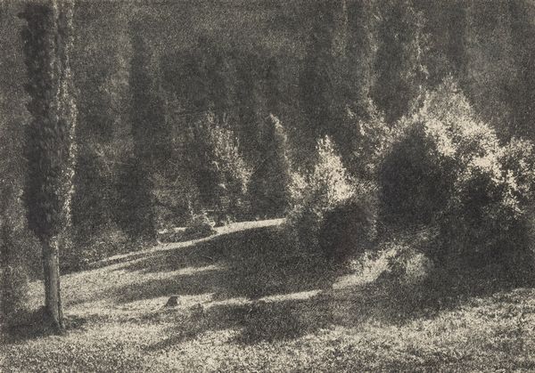 Domenico Riccardo Peretti Griva : Tra il verde di Pr�s S. Didier  - Asta Fotografia: Under 1K - Associazione Nazionale - Case d'Asta italiane