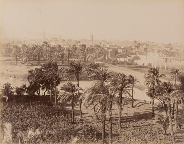 Félix Bonfils : Chameliers en marche dance le d�sert ; vue g�n�rale Assiut  - Asta Fotografia: Under 1K - Associazione Nazionale - Case d'Asta italiane