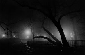 Lynn Saville - Riverside Park, New York, dalla serie Acquainted with the Night