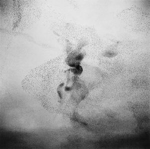 Paolo Patrizi (1965) - Starlings #23